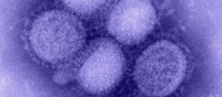 New viruses kill several thousands in European cities
